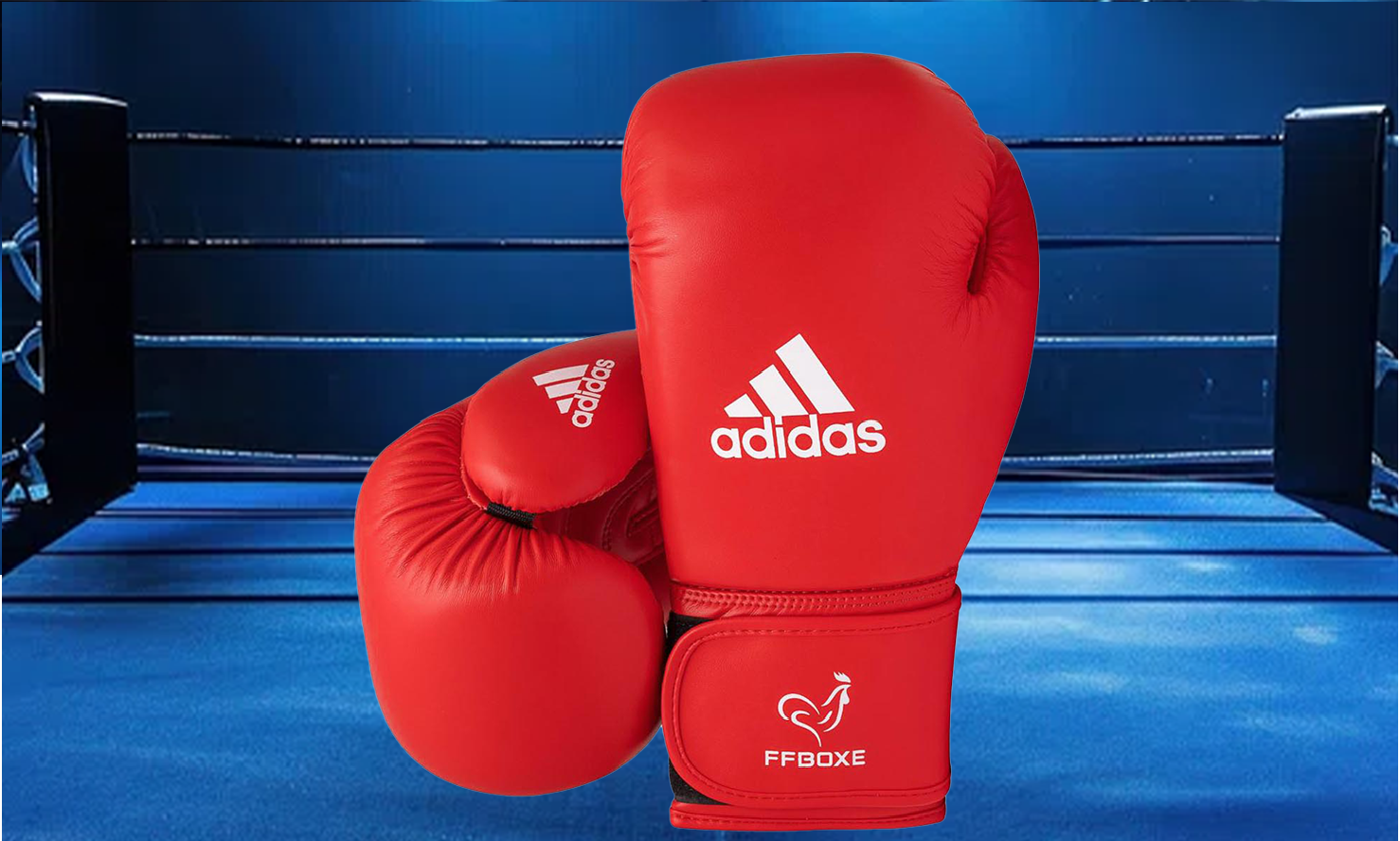 Boxing Gloves